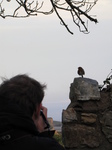 SX25397 Pepijn photographing Robin.jpg